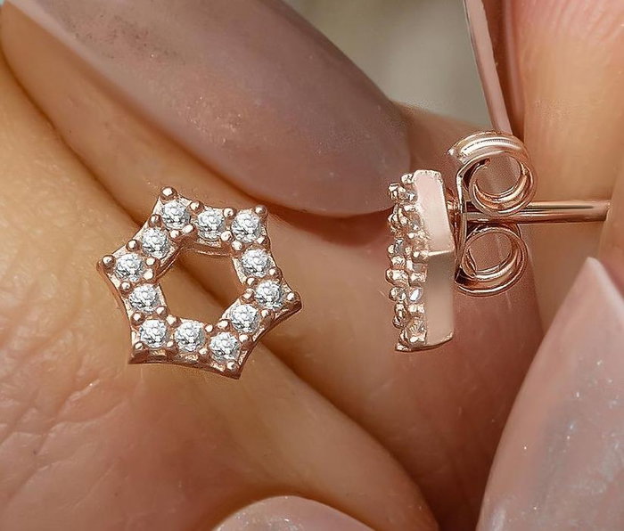 Heliophilia Silver Pendientes de Plata de Ley 925 con Oro Rosa y Circón NRZ999487